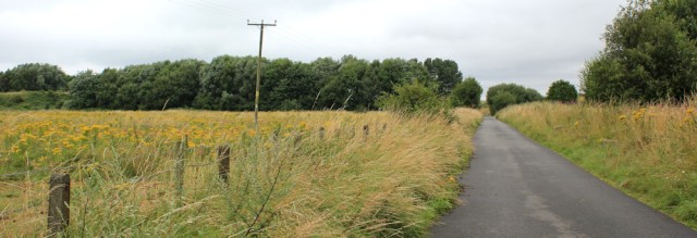 14 new access for walkers, Ruth hiking from Shotton to Neston