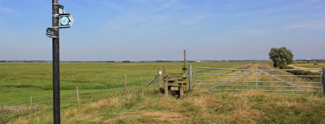 15 Ribble Way, Longton, Ruth Livingstone,