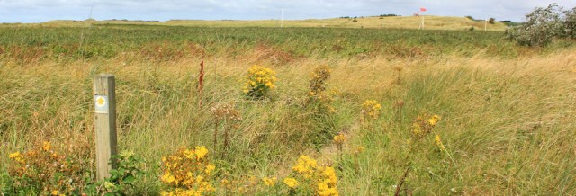 17 Sefton coastal path, Ruth hiking to Formby