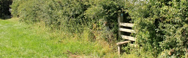 18 stile number 3, Ribble Way, Ruth Livingstone