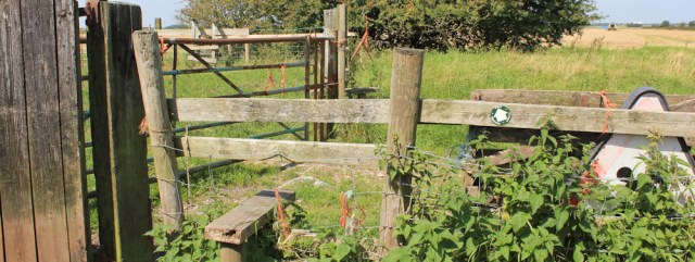 19 stile 4,5 and 6, Ribble Way, Ruth Livingstone