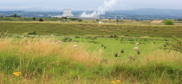 20 across the fiedls to the Dee and Connah's Quay, Ruth hiking to Neston