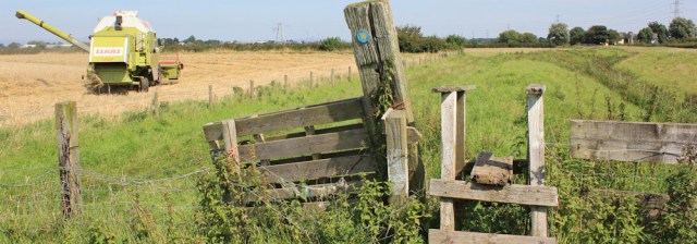 21 stile 7, Ribble Way, marshes, Ruth's hike