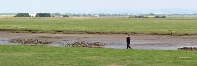 23 man walking the river bank, Ruth's coastal hike, Hesketh Bank