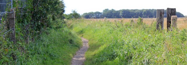 23 Sefton Coastal Footpath to Cabin Hill Nature Reserve, Ruth Livingstone