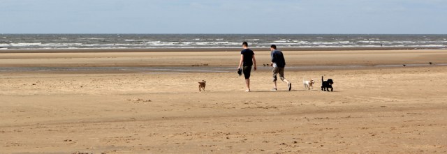 29 Dog walkers, Formby Beach, Ruth's coastal walk