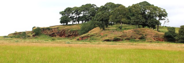 a02  Burton Point, Ruth walking the Burton Marsh Greenway