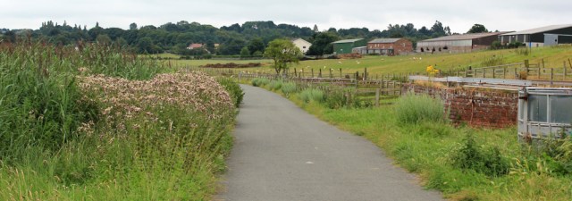 a05 Burton Marsh Farm, Ruth's coastal walk, Wirral