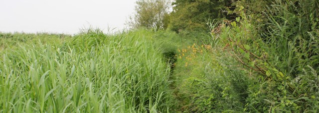 a15 nearly there, Ruth trekking to Neston