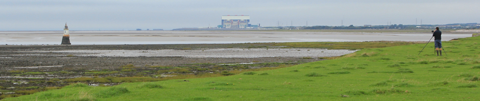 -header-plover-scar-ruth-livingstone