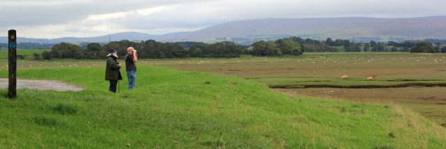06-bird-watchers-banks-end-cockerham-sands