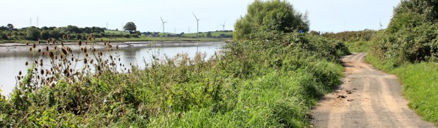 10-cycle-path-river-lune-ruth-walking-to-oxcliffe-lancaster