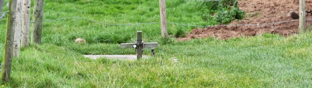 14-sambo-burial-place-ruth-hiking-through-sunderland-point