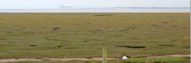 14-view-across-marshes-ruth-liviingstone-walking-the-english-coast