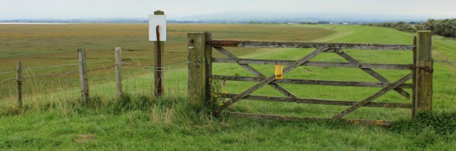 15-marsh-wall-ruth-walking-the-english-coast