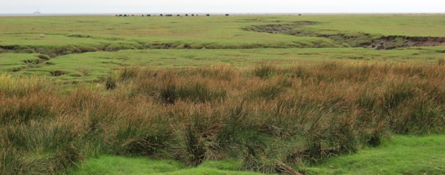 16-potts-corner-middleton-sands-ruth-livingstone