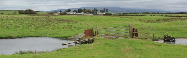 17-across-farmland-towards-glasson-dock-ruths-coastal-walk-lancashire