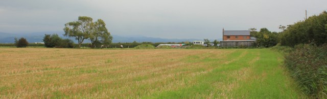 20-ruth-walking-the-english-coast-along-a-field