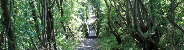 22 footpath above water, Ruth hiking the Lancashire Coastal Way