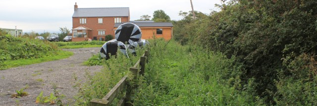 22-overgrown-footpath-ruth-walking-the-english-coast