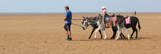 24-donkey-rides-lytham-st-annes