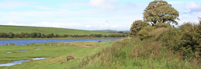 31-bank-of-the-river-lune-ruth-walking-to-lancaster