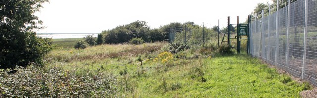 34 perimeter of Warton Aerodrome, Ruth walking the English coast