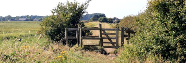 43 marsh bank, Ruth walking the Lancashire Coastal Way