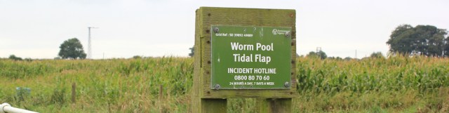 worm-pool
