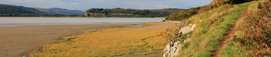 header-arnside-ruth-livingstone