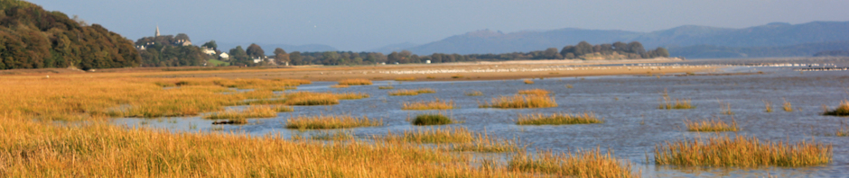 header-baycliff-ruth-livingstone