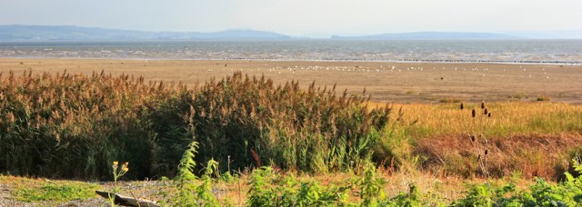 01-bean-well-scar-ruth-livingstone-hiking-from-baycliff-cumbria