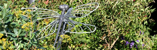 02-dragonfly-grange-over-sands-ruth-livingstone-hiking-the-coast