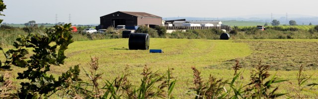 05-farmland-lancashire-ruth-hiking-to-heysham