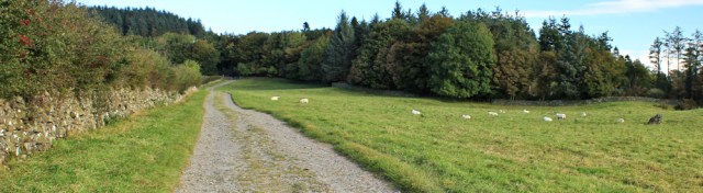 05-high-bank-side-ruth-walking-the-english-coast