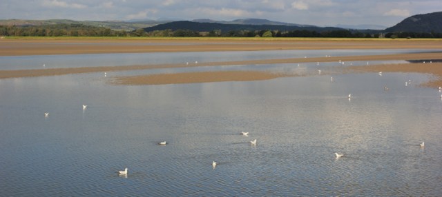 07-kent-estuary-ruth-walking-the-english-coast