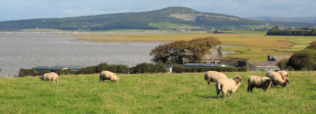 07-red-bank-farm-ruth-walking-the-lancashire-coastal-way