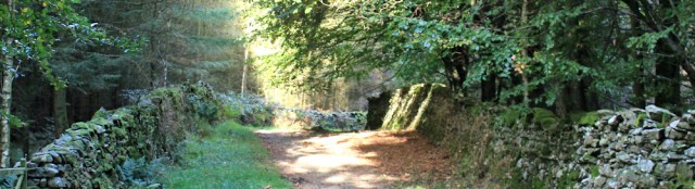 08-old-road-ruth-walking-the-english-coast