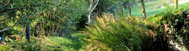 09-foopath-ruth-hiking-in-cumbria