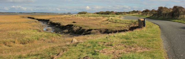 11-wylock-marsh-ruths-coastal-walk-walney-island