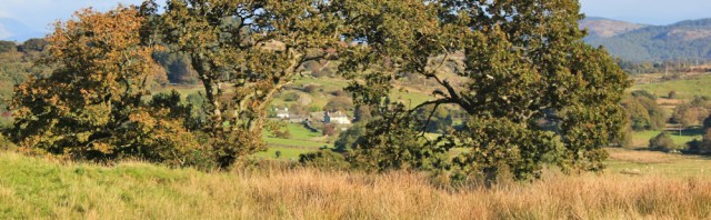 12-alternative-footpath-ruth-walking-the-english-coast