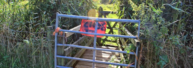 12-through-the-swamp-to-humphrey-head-ruth-walking-the-english-coast