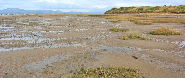 14-horrible-mud-ruth-walking-the-english-coast-to-oak-head-barrow