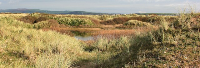 15-empty-sand-dunes-north-walney-nature-reserve-ruth-livingstone