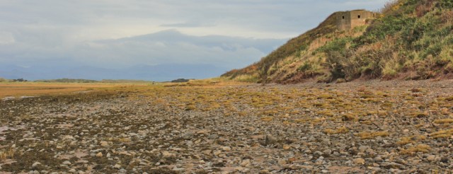 15-pillbox-5-ruth-walking-to-sandscale-haws