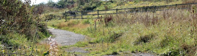 15-waste-ground-ruth-hiking-to-heysham-lancashire