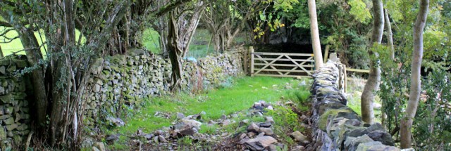 17-sunken-lane-ruths-coastal-walk-cumbria