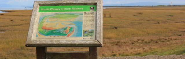 18-south-walney-nature-reserve-ruths-coastal-walk