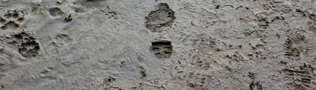 19-footprints-in-mud-ruth-walking-to-beck-house-close-point