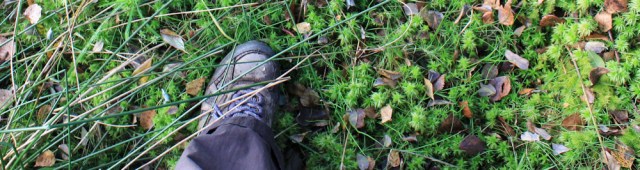 20-moss-means-bog-ruth-livingstone-hiking-in-cumbria